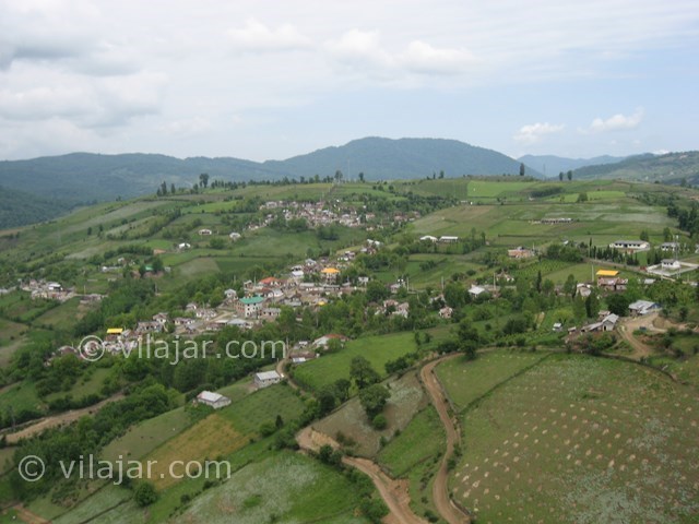 عکس شماره 3421 - اجاره ویلا جنگلی در پاشاکلاه - 