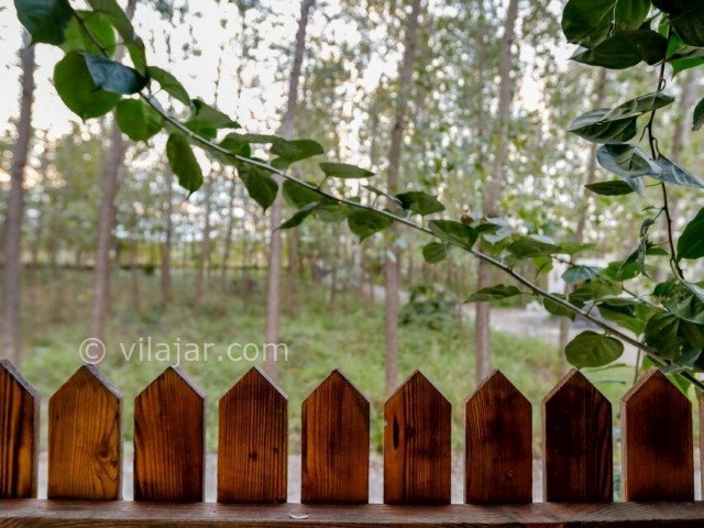 عکس شماره 344937 - اجاره سوییت جنگلی در متل قو - 