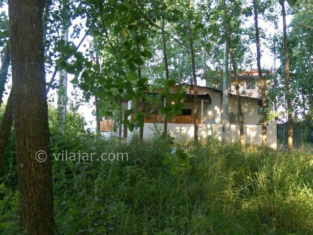 عکس شماره 344941 - اجاره سوییت جنگلی در متل قو - 