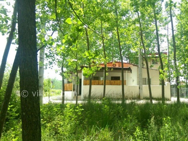 عکس شماره 344943 - اجاره سوییت جنگلی در متل قو - 