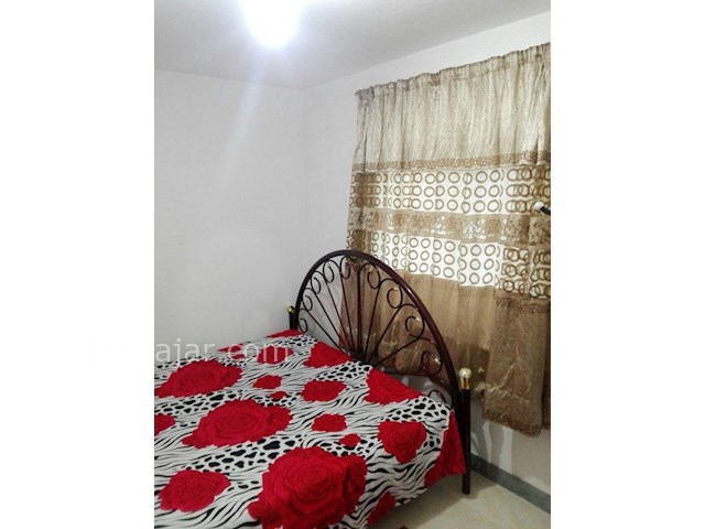 عکس شماره 347159 - ویلا اجاره ای در ماسال - 