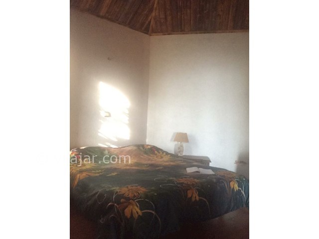 عکس شماره 347981 - ویلا اجاره ای در وازیوار - 