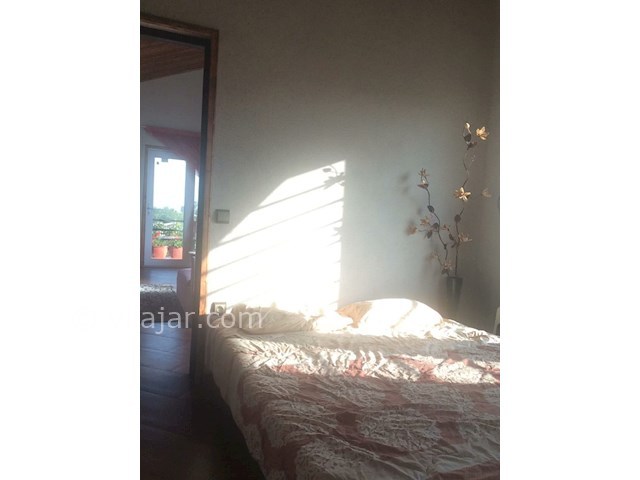 عکس شماره 347983 - ویلا اجاره ای در وازیوار - 