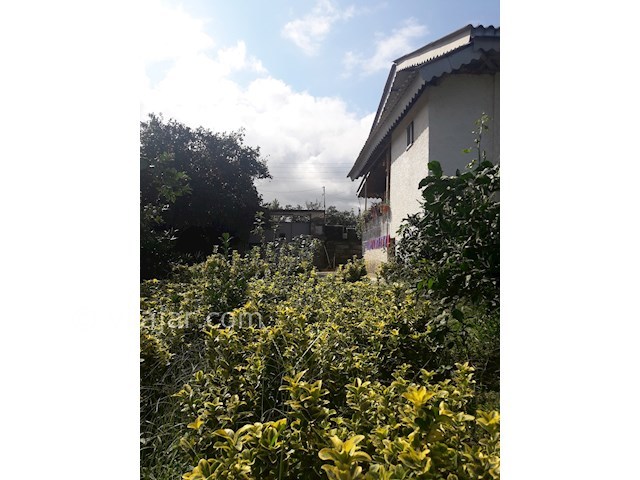 عکس شماره 348321 - اجاره خانه ویلایی در تنکابن - 