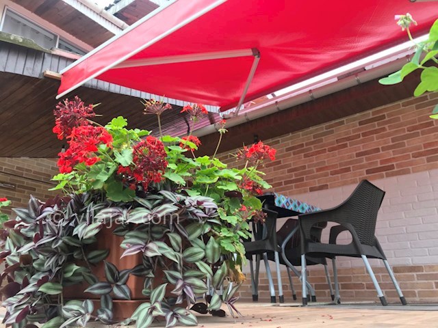 عکس شماره 349349 - ویلا استخردار در رامسر - 