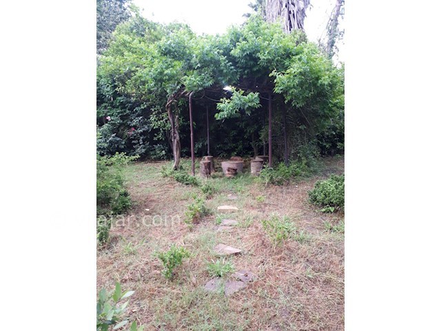 عکس شماره 350727 - اجاره ویلا در ایزدشهر - 