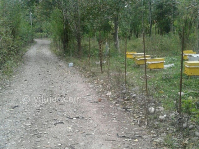 عکس شماره 350821 - خانه روستایی نزدیک رودبار - 