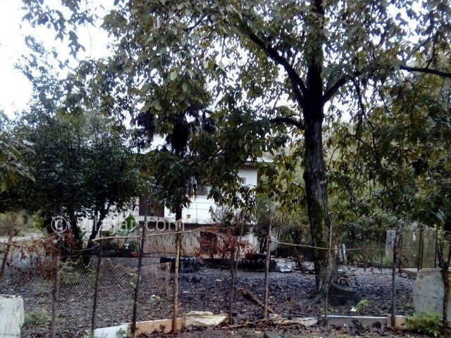 عکس شماره 350831 - خانه روستایی نزدیک رودبار - 