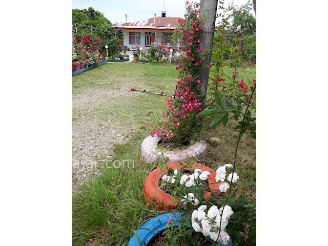 عکس شماره 354977 - ویلا باغ اجاره ای ماسال - 