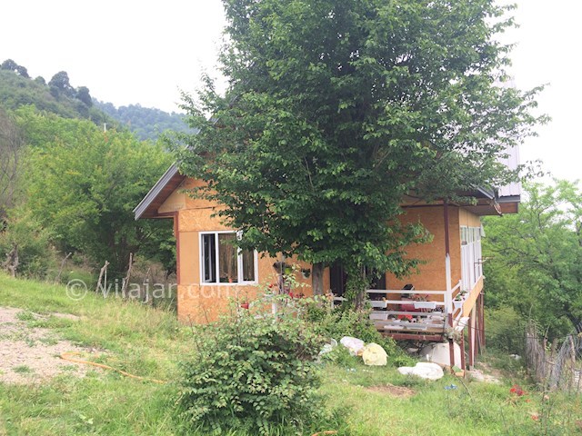 عکس شماره 356987 - اجاره ویلا در ماسال بام سبز -