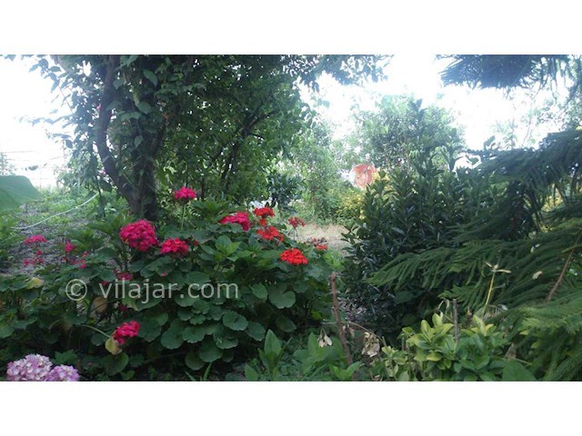 عکس شماره 35767 - اجاره ویلا در باغ نزدیک رودسر - 