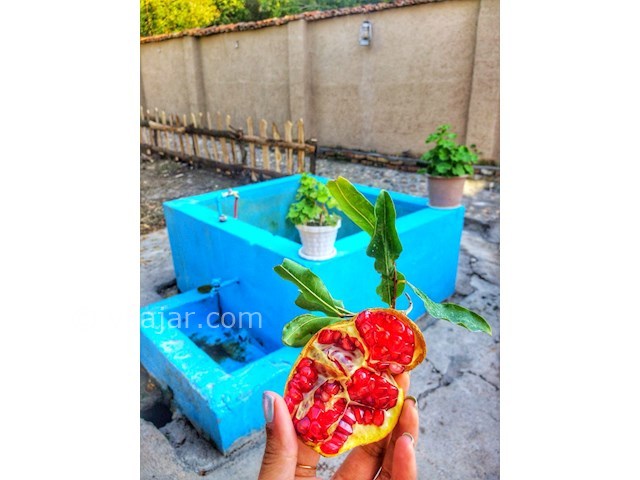 عکس شماره 357711 - اقامتگاه روستایی انار باغ - 