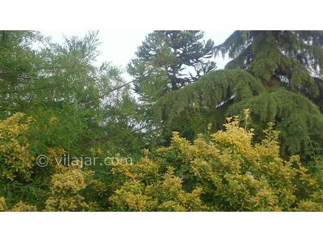 عکس شماره 35785 - اجاره ویلا در باغ نزدیک رودسر - 