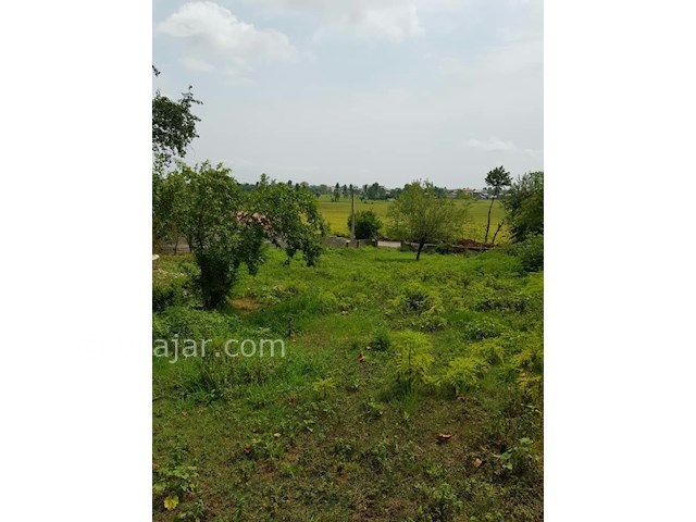 عکس شماره 360597 - رزرو ویلا در بام سبز ماسال - 