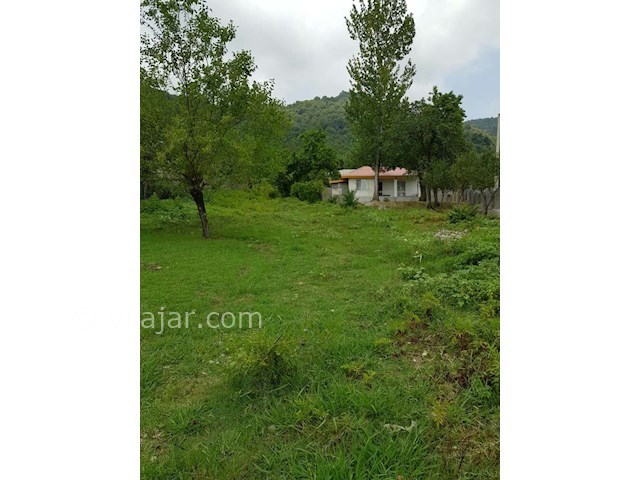 عکس شماره 360605 - رزرو ویلا در بام سبز ماسال - 