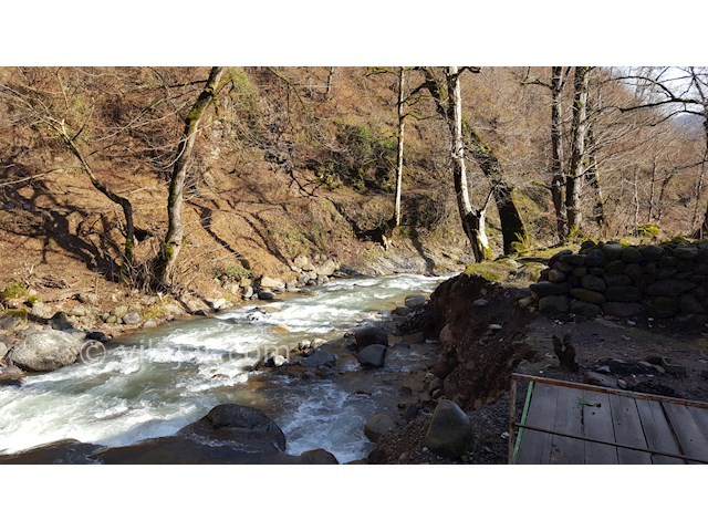 عکس شماره 361387 - ویلای چوبی در جاده اسالم - 