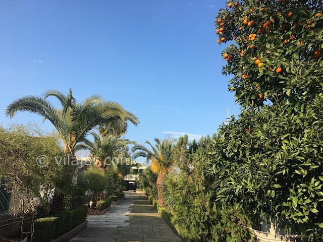 عکس شماره 362157 - اجاره ویلا ساحلى در ایزدشهر - 