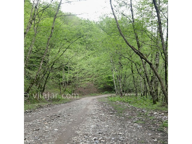 عکس شماره 362731 - اقامتگاه وارش نزدیک رودبار - 