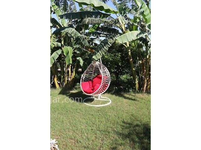 عکس شماره 362863 - اجاره ویلا لوکس در دزفول - 