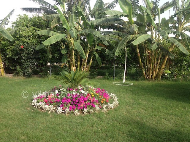 عکس شماره 362865 - اجاره ویلا لوکس در دزفول - 