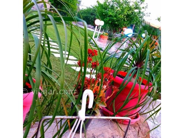 عکس شماره 362901 - اجاره ویلا باغ در دزفول با استخر - 