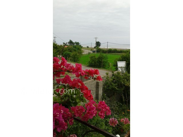 عکس شماره 365371 - اجاره واحد لب ساحل تالش - 