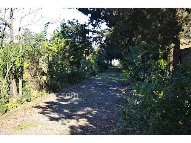 عکس شماره 366101 - ویلا باغ ساحلی نزدیک رامسر - 