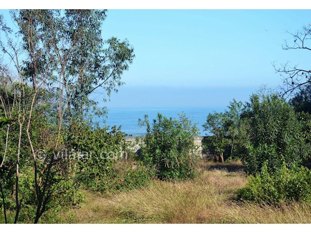 عکس شماره 366103 - ویلا باغ ساحلی نزدیک رامسر - 