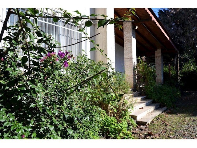 عکس شماره 366105 - ویلا باغ ساحلی نزدیک رامسر - 