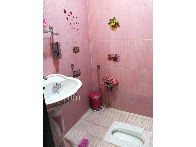 عکس شماره 366501 - ویلا کرایه ای در زیباکنار - 