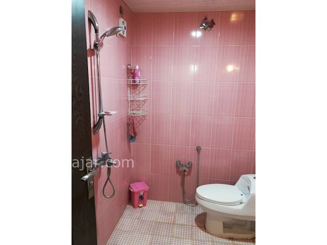 عکس شماره 366507 - ویلا کرایه ای در زیباکنار - 