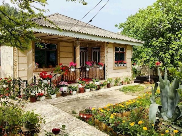 عکس شماره 369521 - رزرو ویلای جنگلی نزدیک اسالم - 