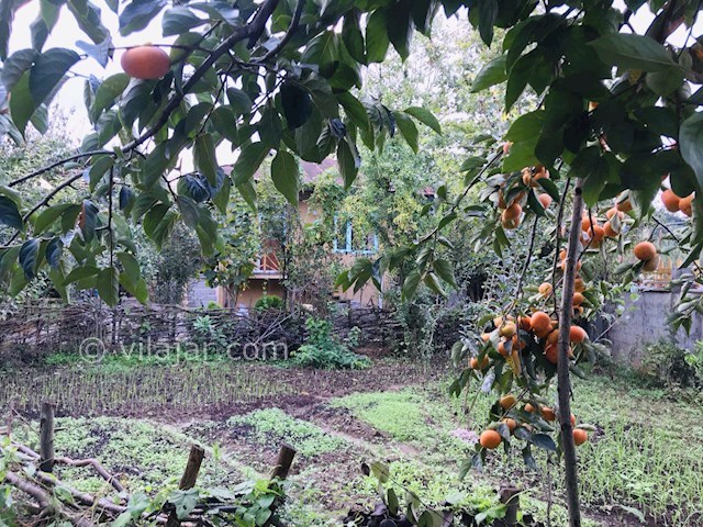 عکس شماره 370777 - اقامتگاه بومگردی نزدیک فومن - 