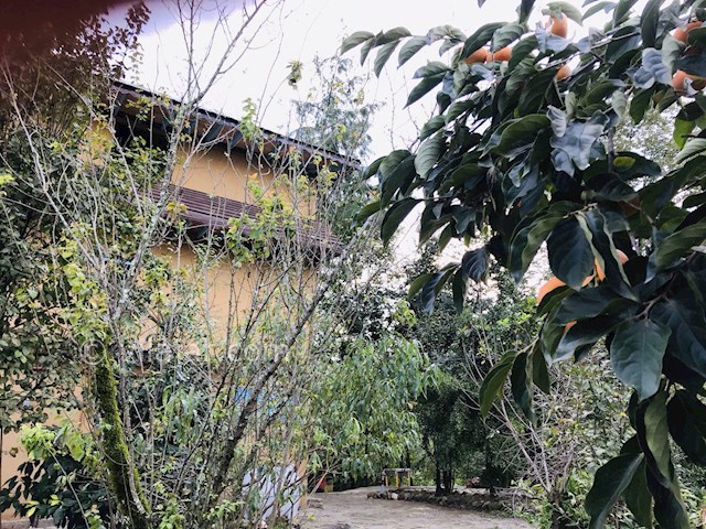 عکس شماره 370783 - اقامتگاه بومگردی نزدیک فومن - 