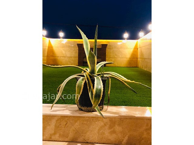 عکس شماره 371557 - اجاره ویلا بااستخر در سرخرود - 