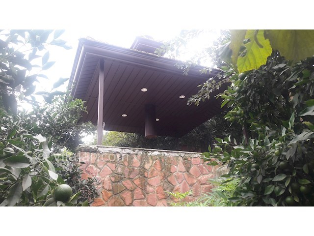 عکس شماره 372079 - اجاره ویلا استخردار جنگلی اربکله - 