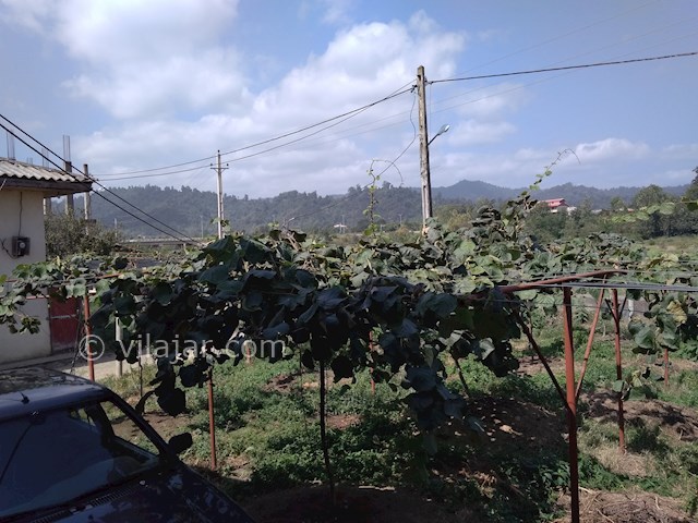 عکس شماره 375853 - ویلای اجاره ای در اسالم - 