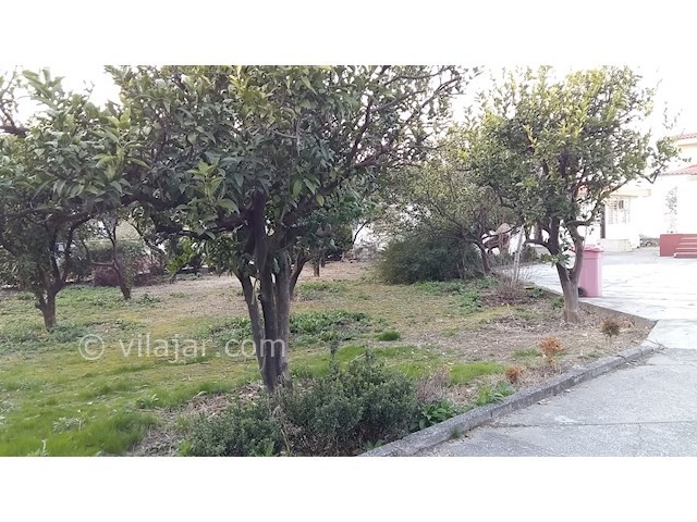 عکس شماره 37601 - اجاره ویلا ساحلی در چالوس - 