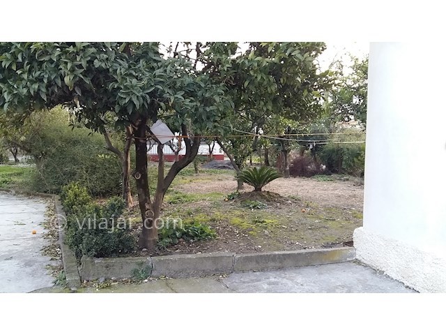 عکس شماره 37611 - اجاره ویلا ساحلی در چالوس - 