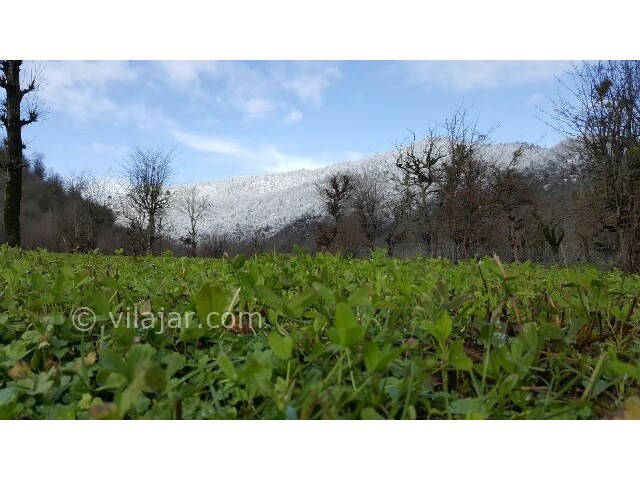 عکس شماره 37639 - اجاره سوئیت در طبیعت ماسال - 