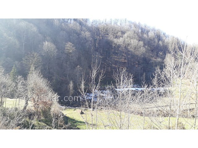 عکس شماره 378215 - اجاره ویلا جنگلی در سوادکوه - 