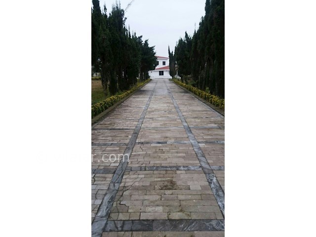 عکس شماره 378455 - اجاره ویلا باغ در سیسنگان - 