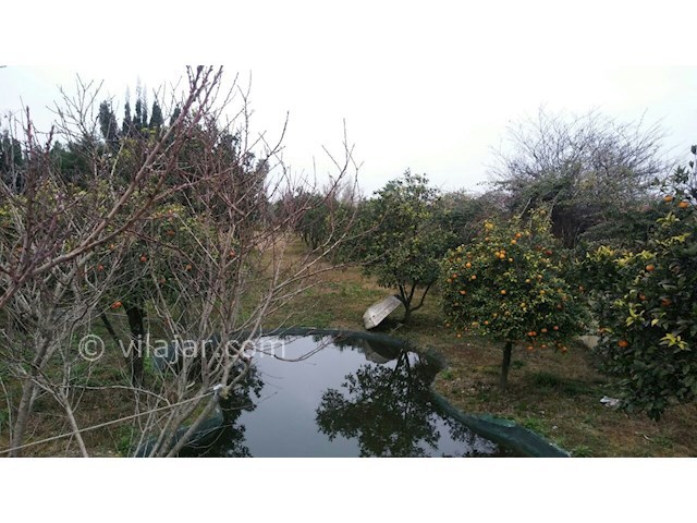 عکس شماره 378511 - اجاره ویلا باغ در سیسنگان - 