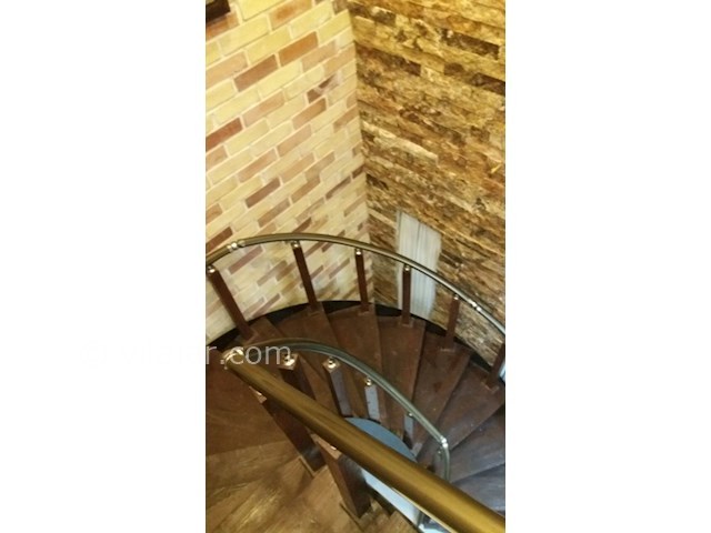 عکس شماره 380167 - اجاره ویلا استخردار جنگلی در نور - 