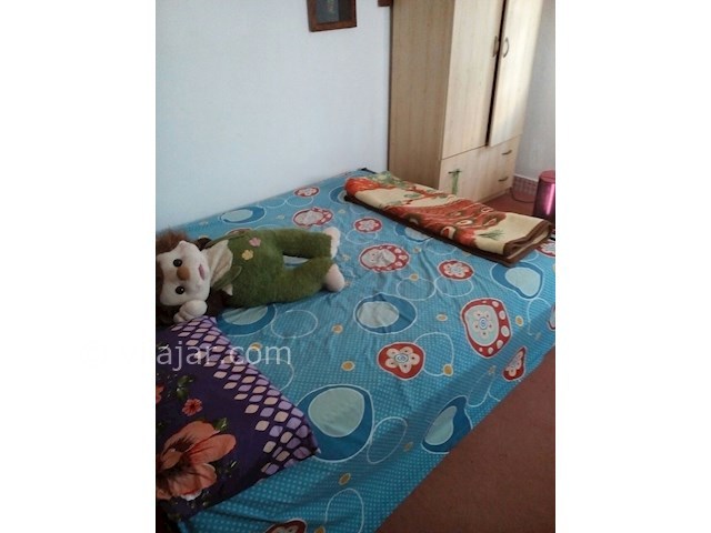 عکس شماره 380645 - اجاره ویلا دربست ساحلی - 