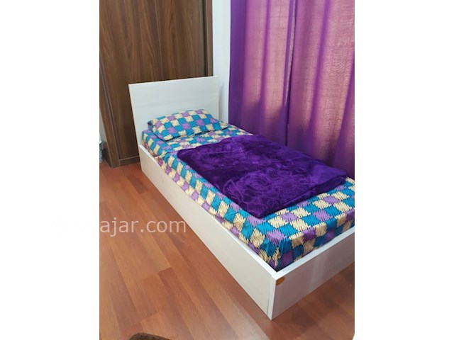 عکس شماره 381867 - اجاره ویلا اطراف نمک ابرود - 