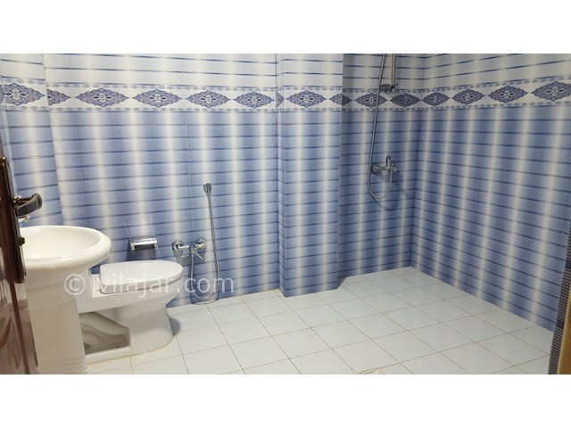 عکس شماره 382309 - ویلای جنگلی نزدیک دریاچه - 