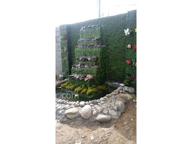 عکس شماره 384117 - اجاره ویلا در ماسال - 