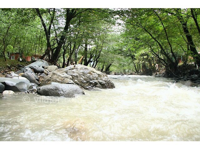 عکس شماره 384183 - ویلا دربست جنگلی بر رودخانه - 