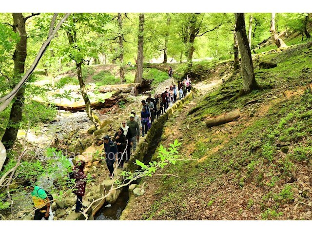 عکس شماره 384185 - ویلا دربست جنگلی بر رودخانه - 